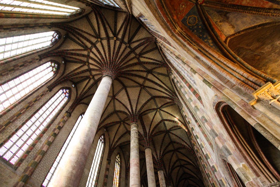 Palmier des Jacobins