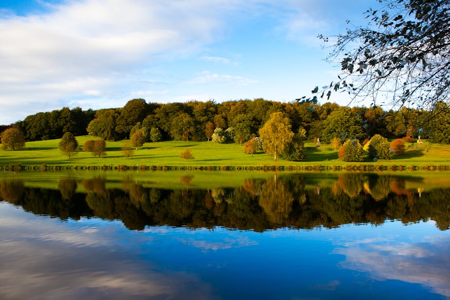 Reflective Landscape