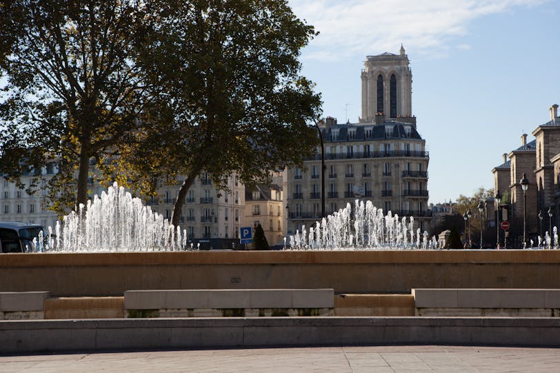 Fountain and Notre-Dame