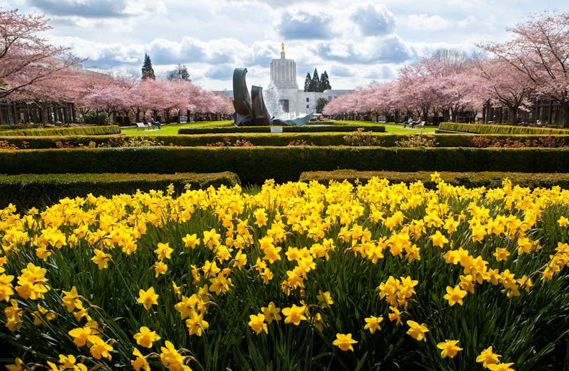 Oregon State Capitol in Spring