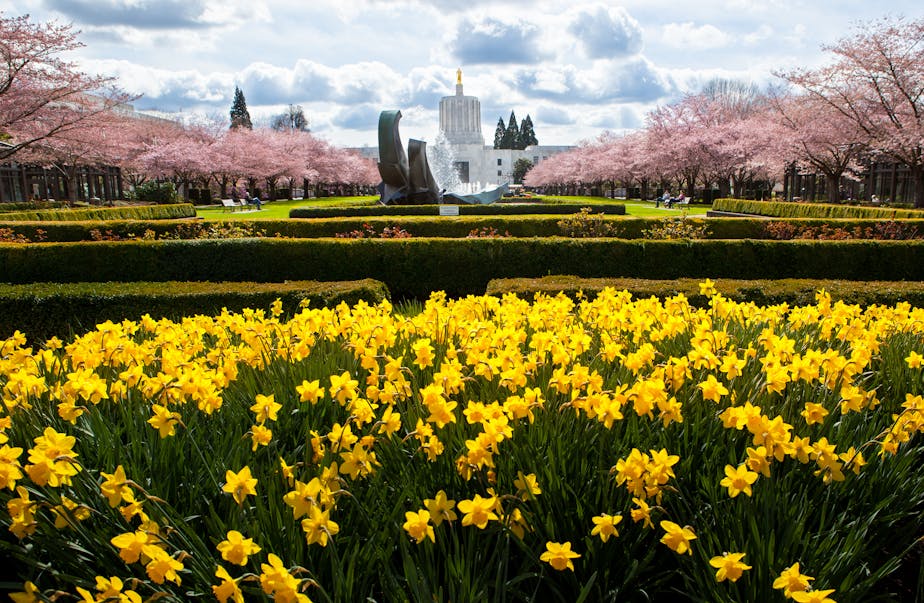 Oregon State Capitol in Spring