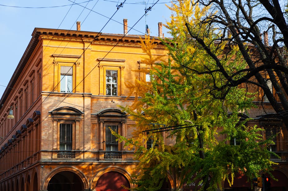 Orange Building in Autumn, Bologna, Italy
