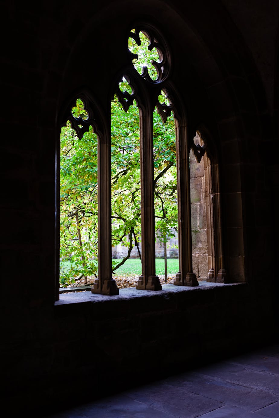 Cloister Window, Maulbronn Monastery, Germany