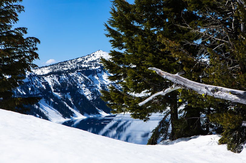 Crater Lake Reflections in Spring with Trees