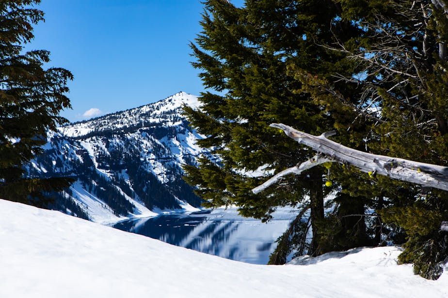 Crater Lake Reflections in Spring with Trees