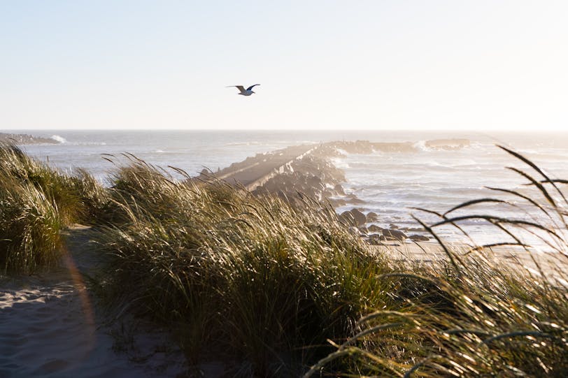 Bullards Beach - Bandon, Oregon