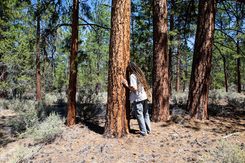 Sniffing a Ponderosa - Sisters, Oregon