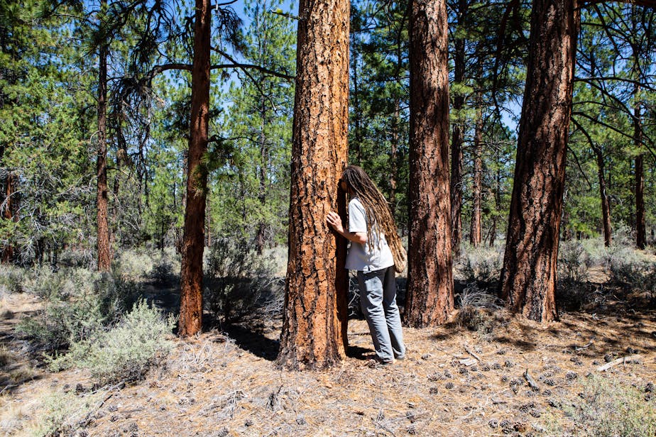 Sniffing a Ponderosa - Sisters, Oregon