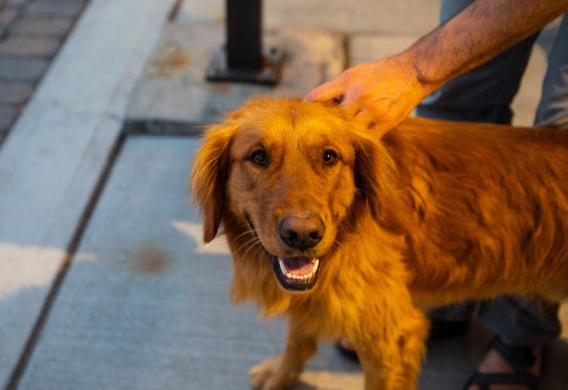 Historic Central Hotel (Burns, Oregon)