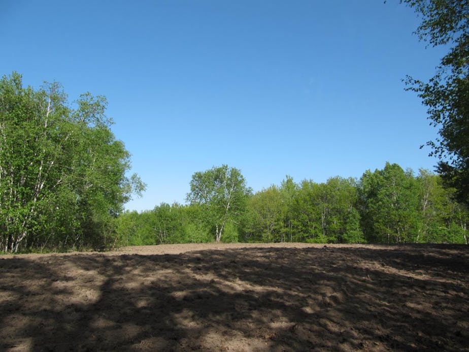 Maiden Rock, WI 5/17/09