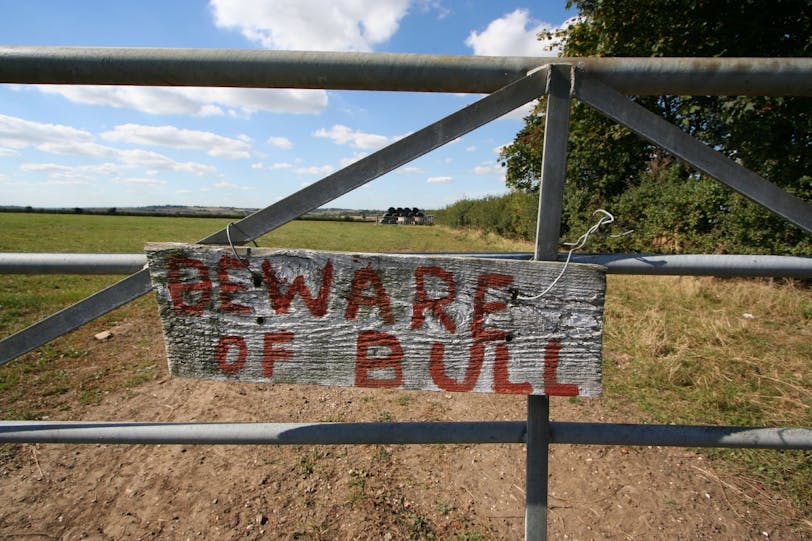 a good rule to live by.