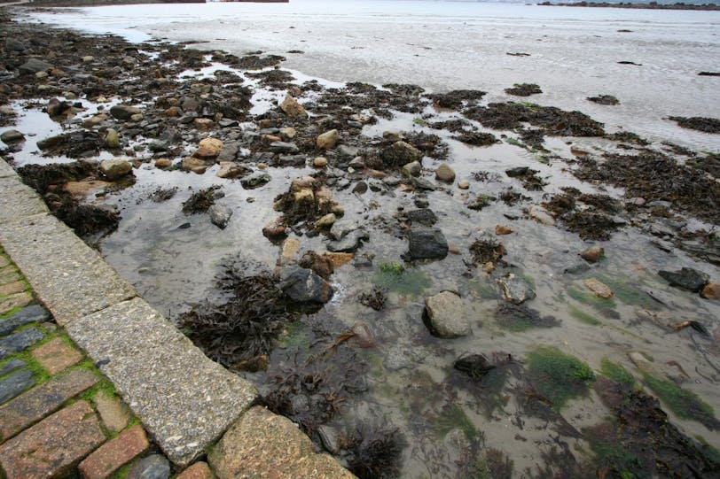 causeway to st michael's mount