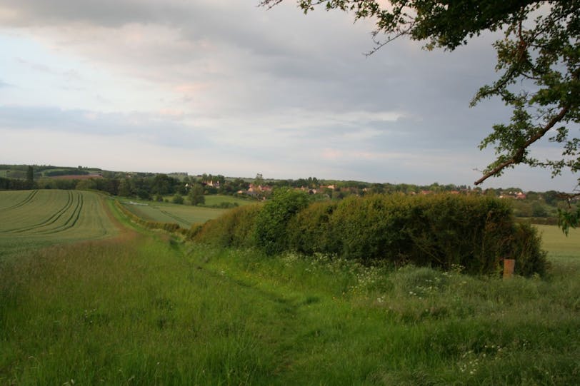 great milton footpath