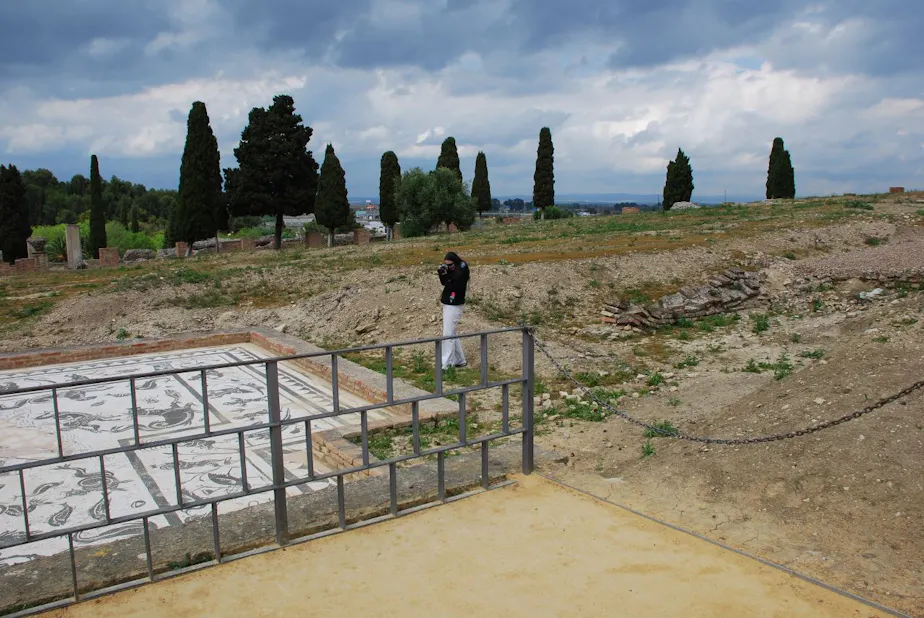 Oops! wrong side of the fence.