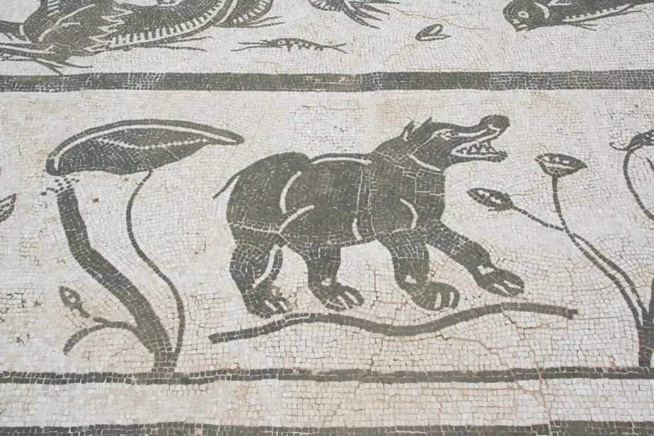 Neptune mosaic, italica