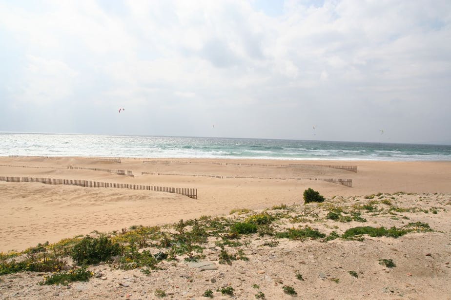 windsurfers at tarifa