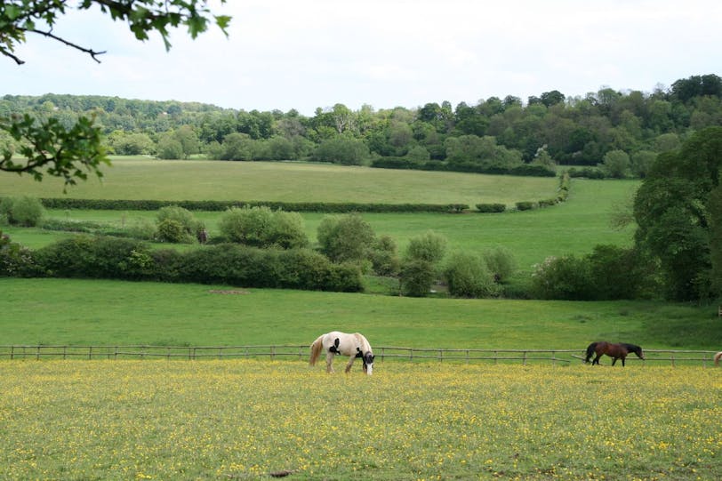 near north leigh roman villa