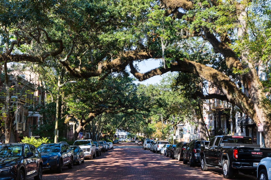Jones Street - Savannah, Georgia