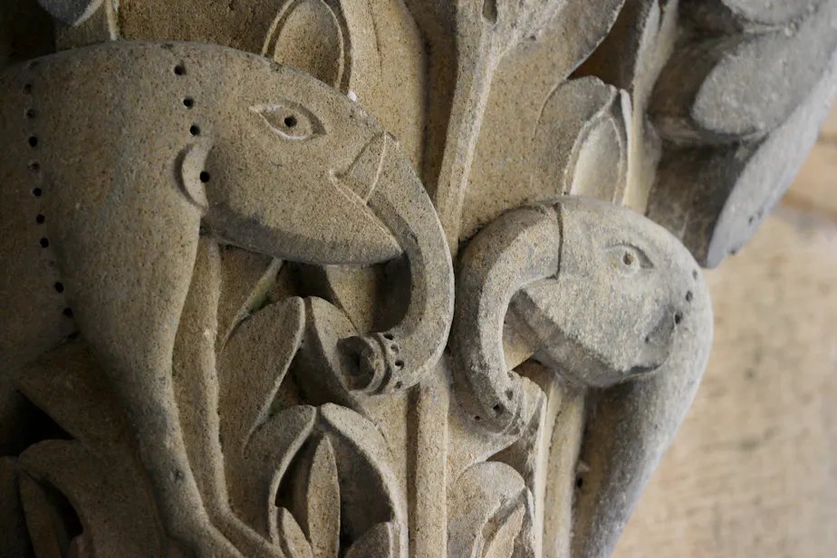 Narthex Capital: Elephants