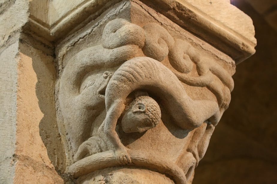 Capital: Acrobat and Wyverns