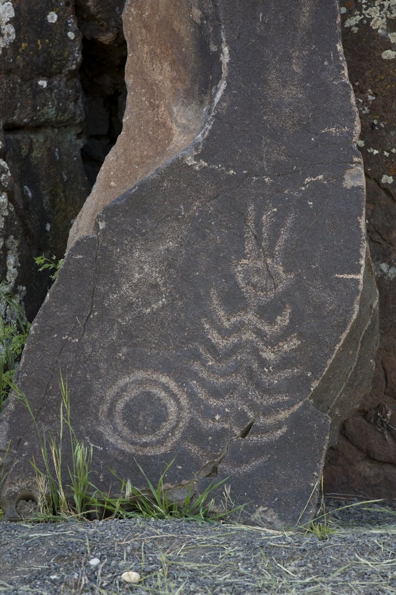 Circle and Insect Petroglyphs, Columbia Gorge, Washington, USA