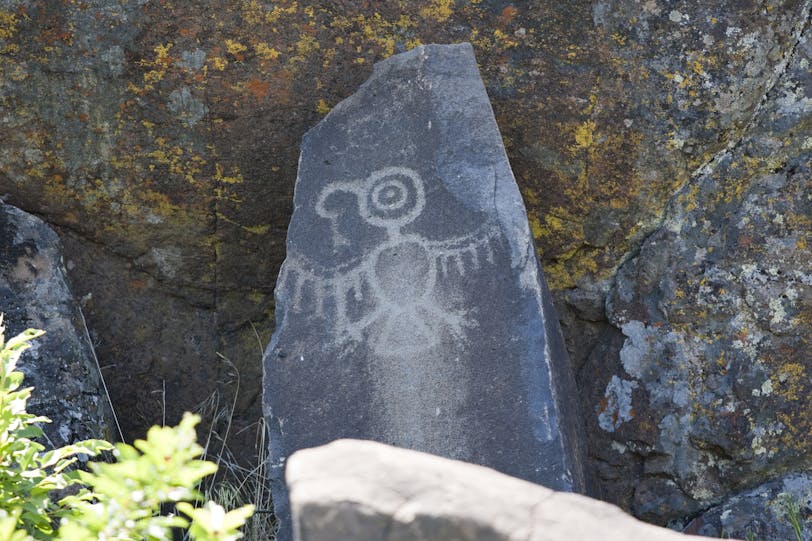 Bird Petroglyph, Columbia Gorge, Washington, USA